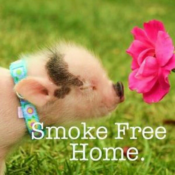 All my items are from a smoke free home - Picture 1 of 1
