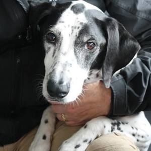 Meet your Posher, Becky