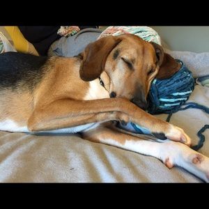 Meet your Posher, Karen