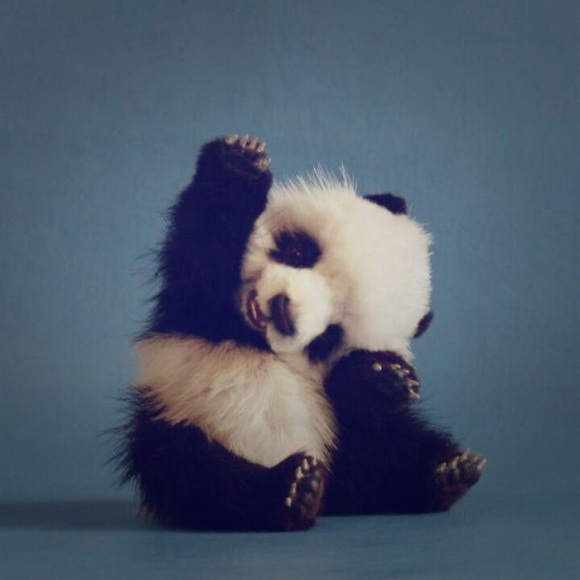 Meet your Posher, Kt - Picture 1 of 1