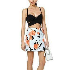 Nasty Gal  MinkPink Queen's Garden Skirt