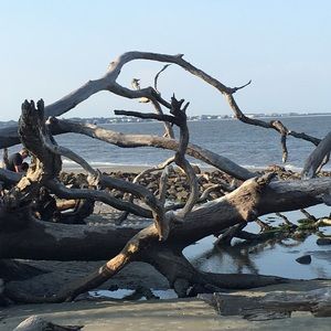 Meet your Posher, Jen