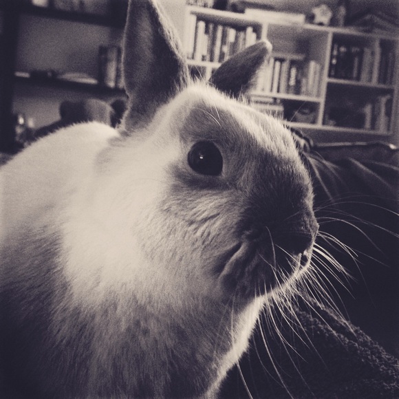 Meet your Posher, Margaret - Picture 1 of 1