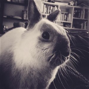 Meet your Posher, Margaret