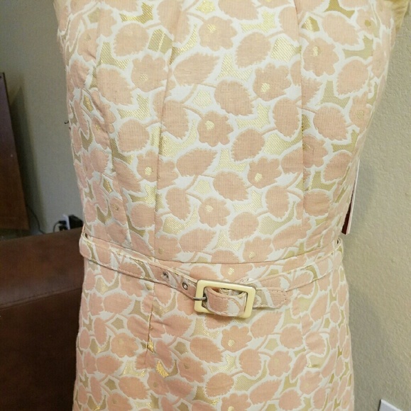 Belted pink and gold dress