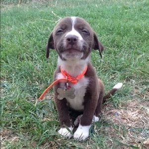 Meet your Posher, Haley