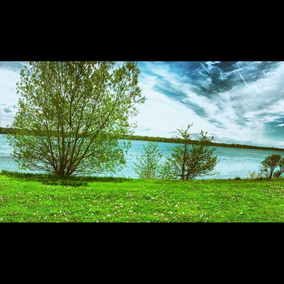 Meet your Posher, Lacie - Picture 1 of 1