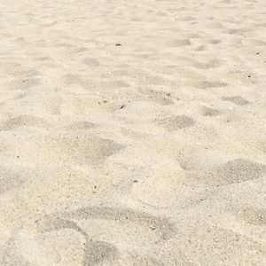 Meet your Posher, Daryan