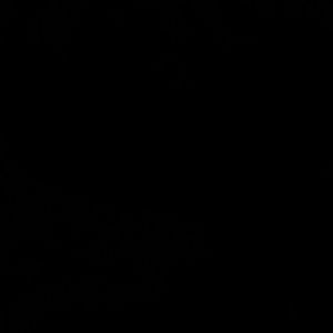 Meet your Posher, Kaiden