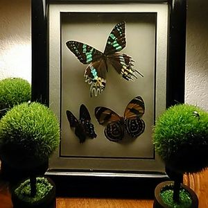 Meet your Posher, Joann