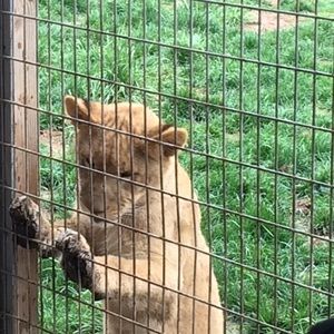 Meet your Posher, Jan