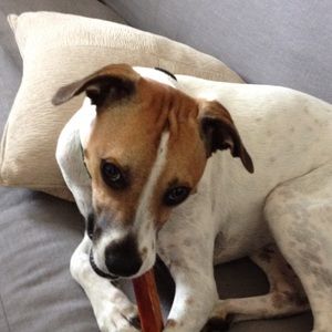 Meet your Posher, Leslie