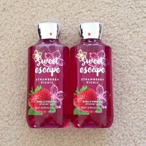 NEW BBW 2 of Sweet escape strawberry picnic