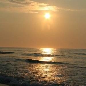 Meet your Posher, Sonya