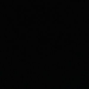 Meet your Posher, Rodreka