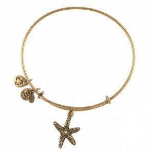 Alex and Ani "Arms of Strength" bracelet