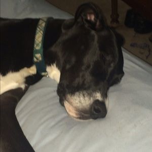 Meet your Posher, Stacy