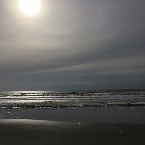 Meet your Posher, Shawn