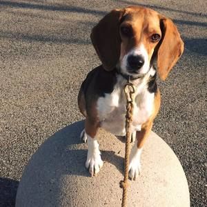 Meet your Posher, Jane