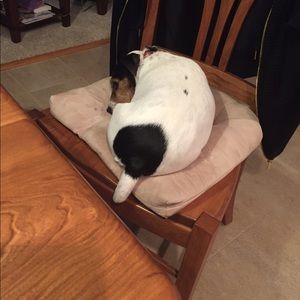 Meet your Posher, Regina