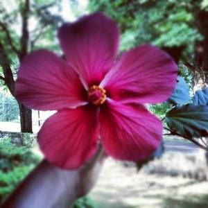 Meet your Posher, Angela