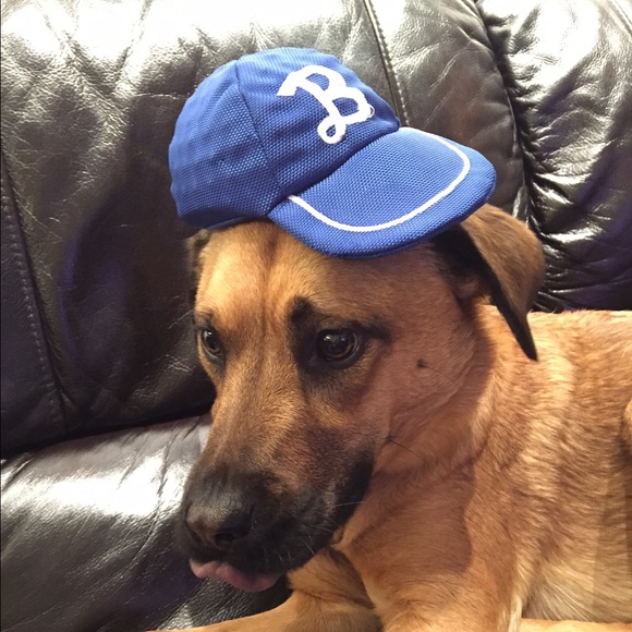 Meet your Posher, Jill - Picture 1 of 1