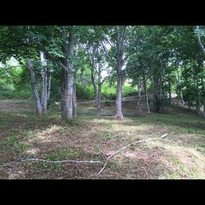 Meet your Posher, Allyson