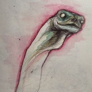 Meet your Posher, Rae