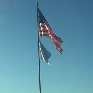 Meet your Posher, Carmen