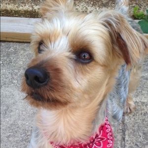 Meet your Posher, Jacqueline