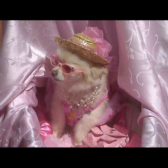 Meet your Posher, Chelsea