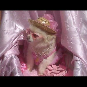 Meet your Posher, Chelsea