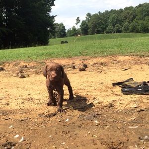 Meet your Posher, Meredith