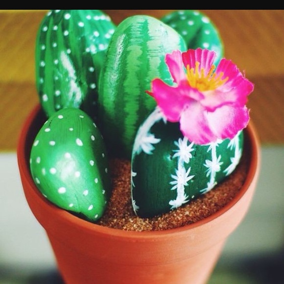 Meet your Posher, Avery - Picture 1 of 1