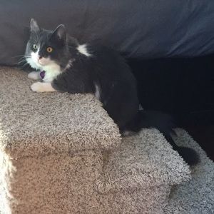 Meet your Posher, Laura