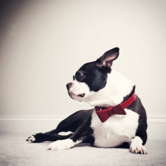 Meet your Posher, Kristen - Picture 8 of 8