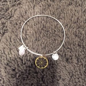 alex and ani bracelet