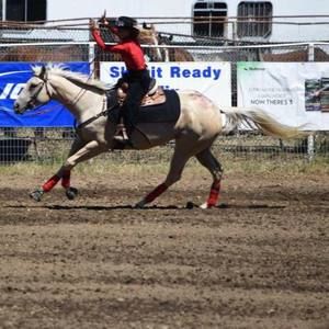 Meet your Posher, Abigail