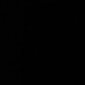 Meet your Posher, Karina