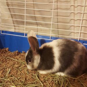 Meet your Posher, Leeanne