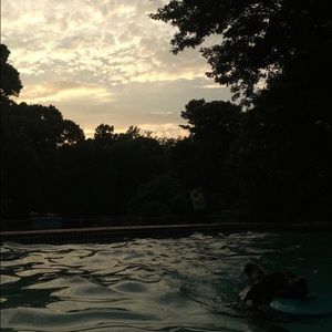 Meet your Posher, Olivia