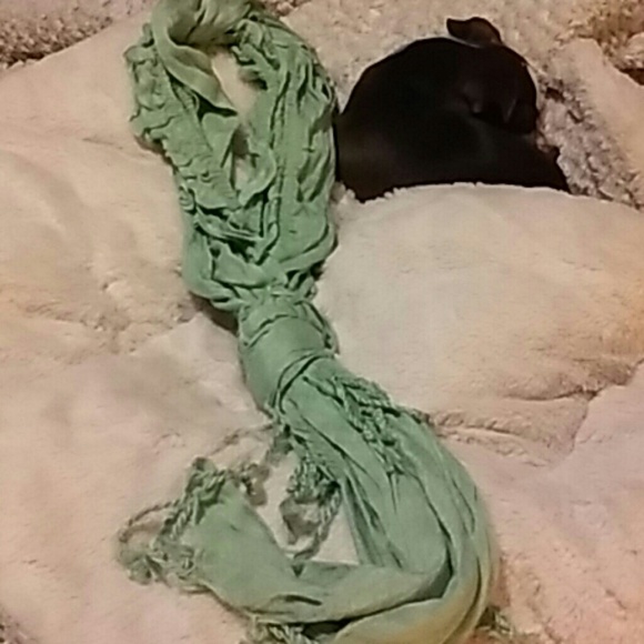 Scarf - Picture 2 of 3