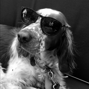 Meet your Posher, Laur