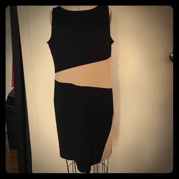 Ann Taylor Black and Tan Dress