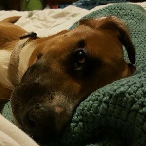 Meet your Posher, April