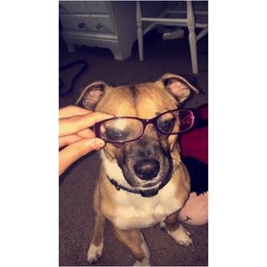 Meet your Posher, Abby