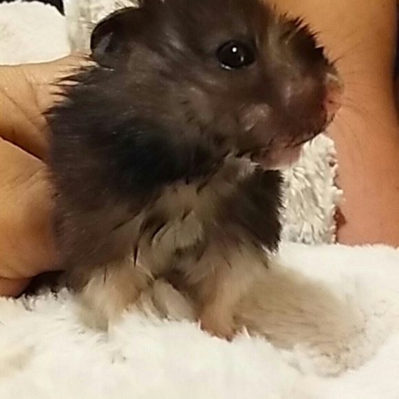 Sweater - Picture 3 of 3