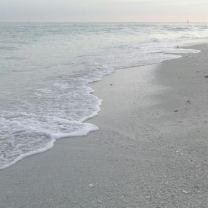 Meet your Posher, Arlene