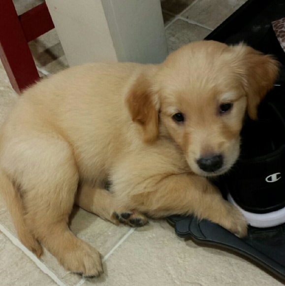 Kindness and Consideration - Picture 8 of 11