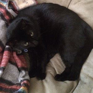 Blue shorts and white tie top!